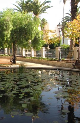 zichron2(1) zichron2(1)